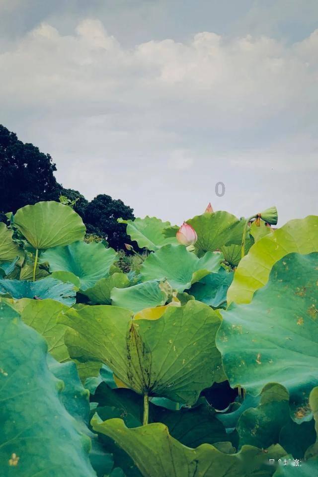 小型的足球赛