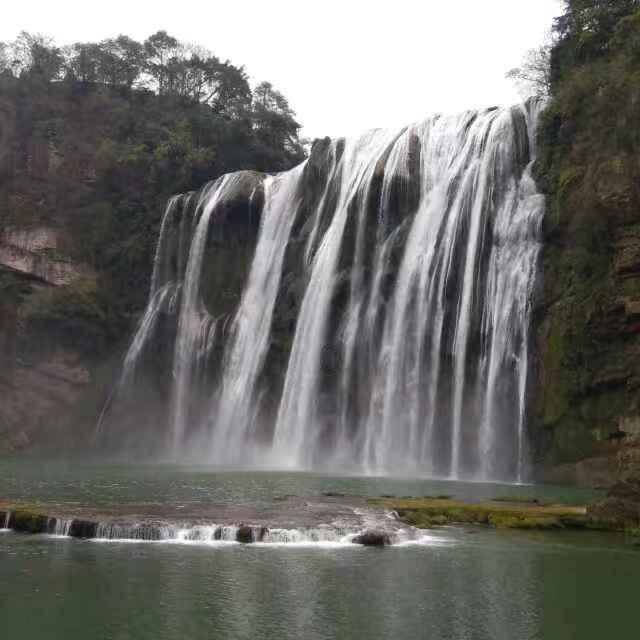 丛林森林逃生
